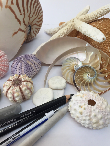   Benefits of Drawing: Unleashing Creativity, Enhancing Cognitive Skills, and Promoting Well-Being